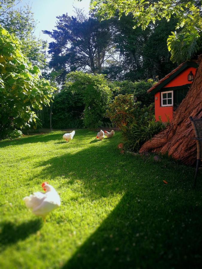 לה לגונה Jardines De Hortensia - Vacation Home Tenerife מראה חיצוני תמונה